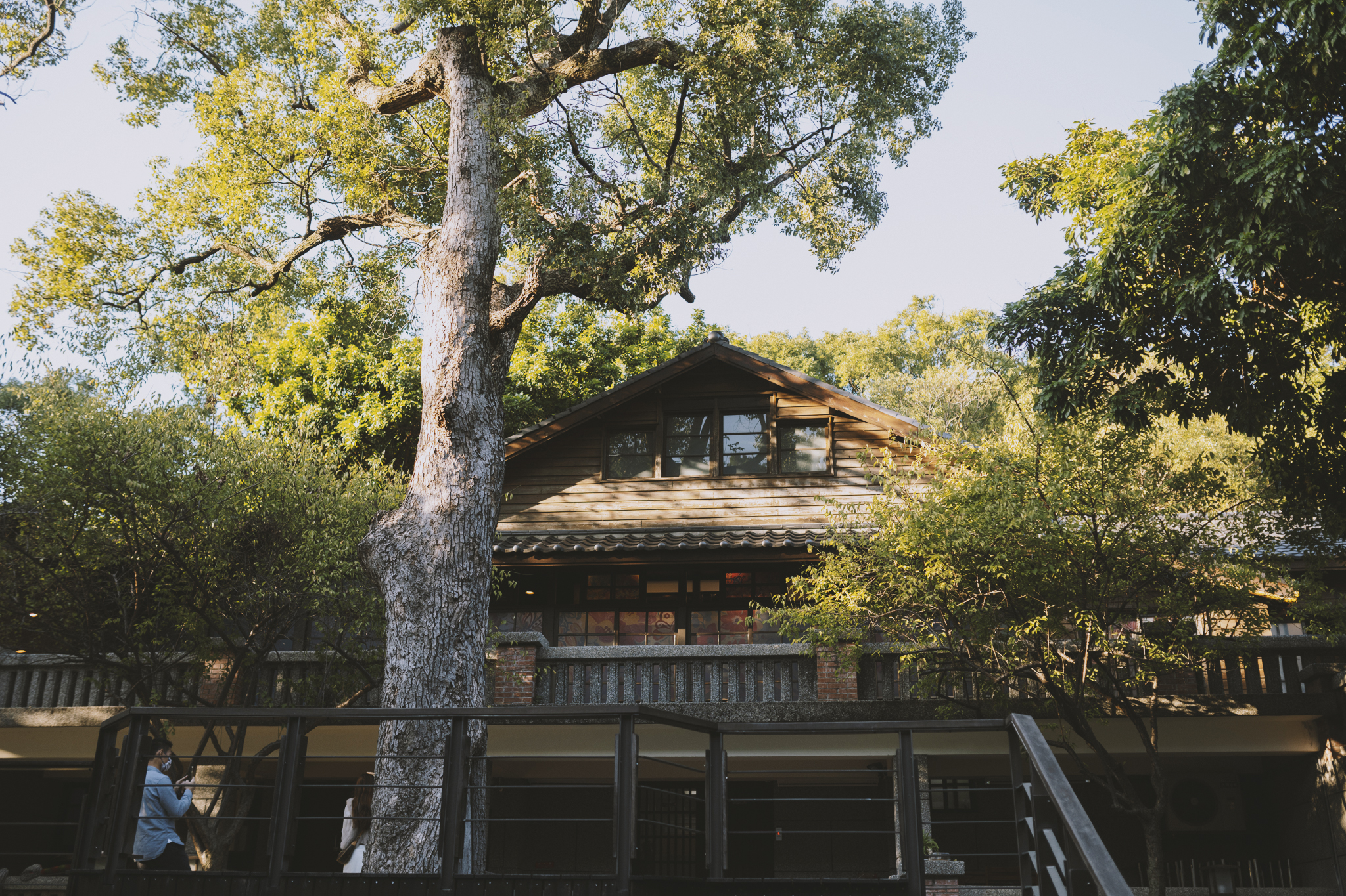 北投梅庭beitou Plum Garden